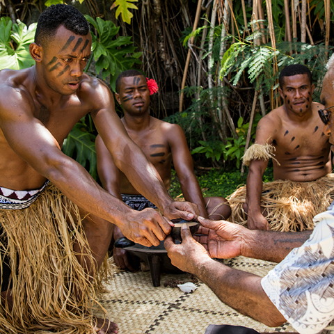 Fiji Traditions - Kava