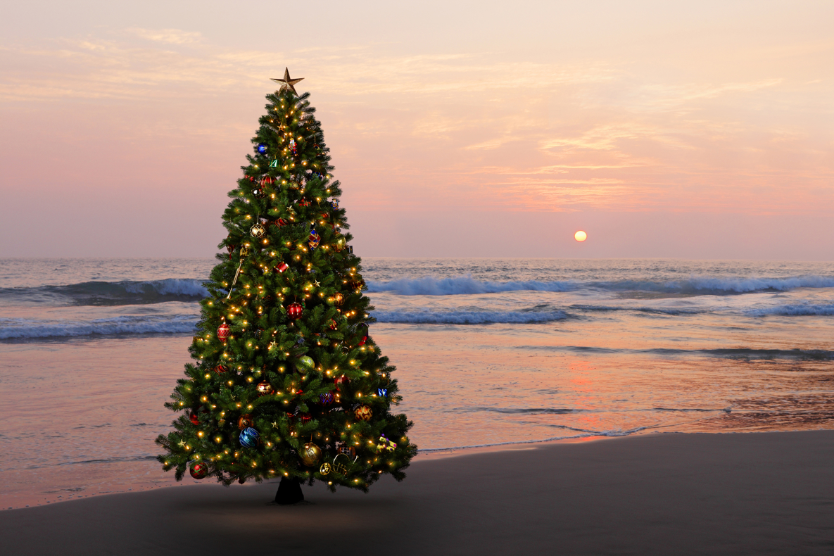 Sapin de Noël sur la plage