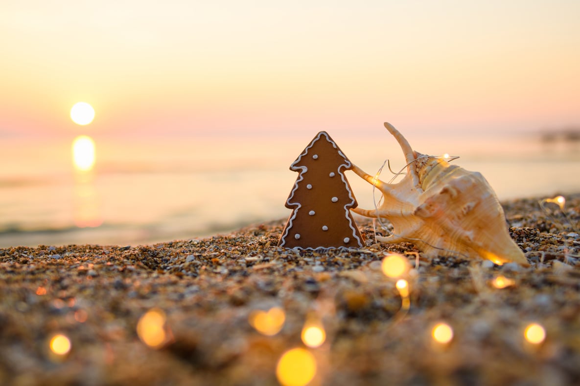 Biscuit de pain d'épice d'arbre de Noël sur la plage