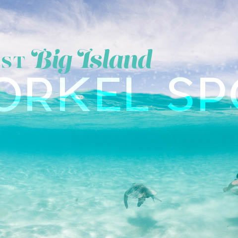 Big Island of Hawaii - best snorkel spots