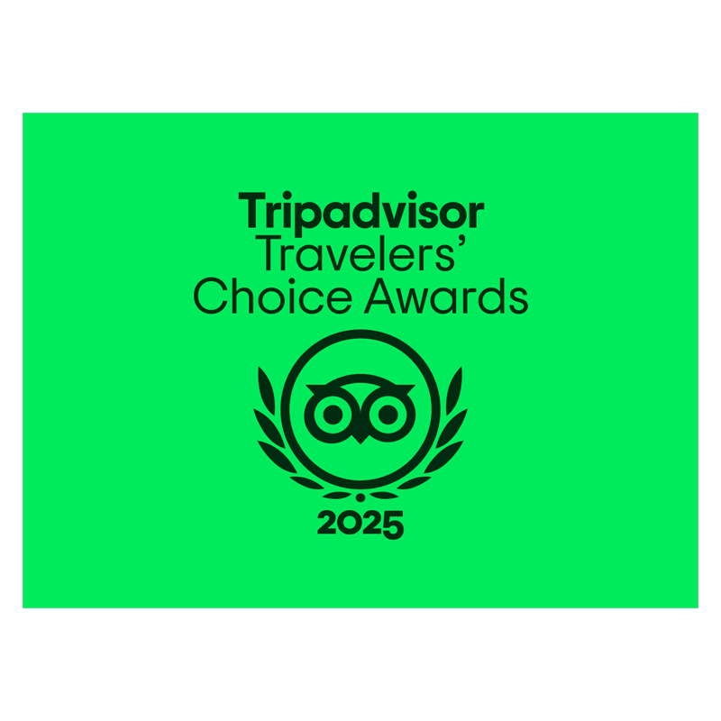 Trip Advisor Travelers Choice Awards Logo