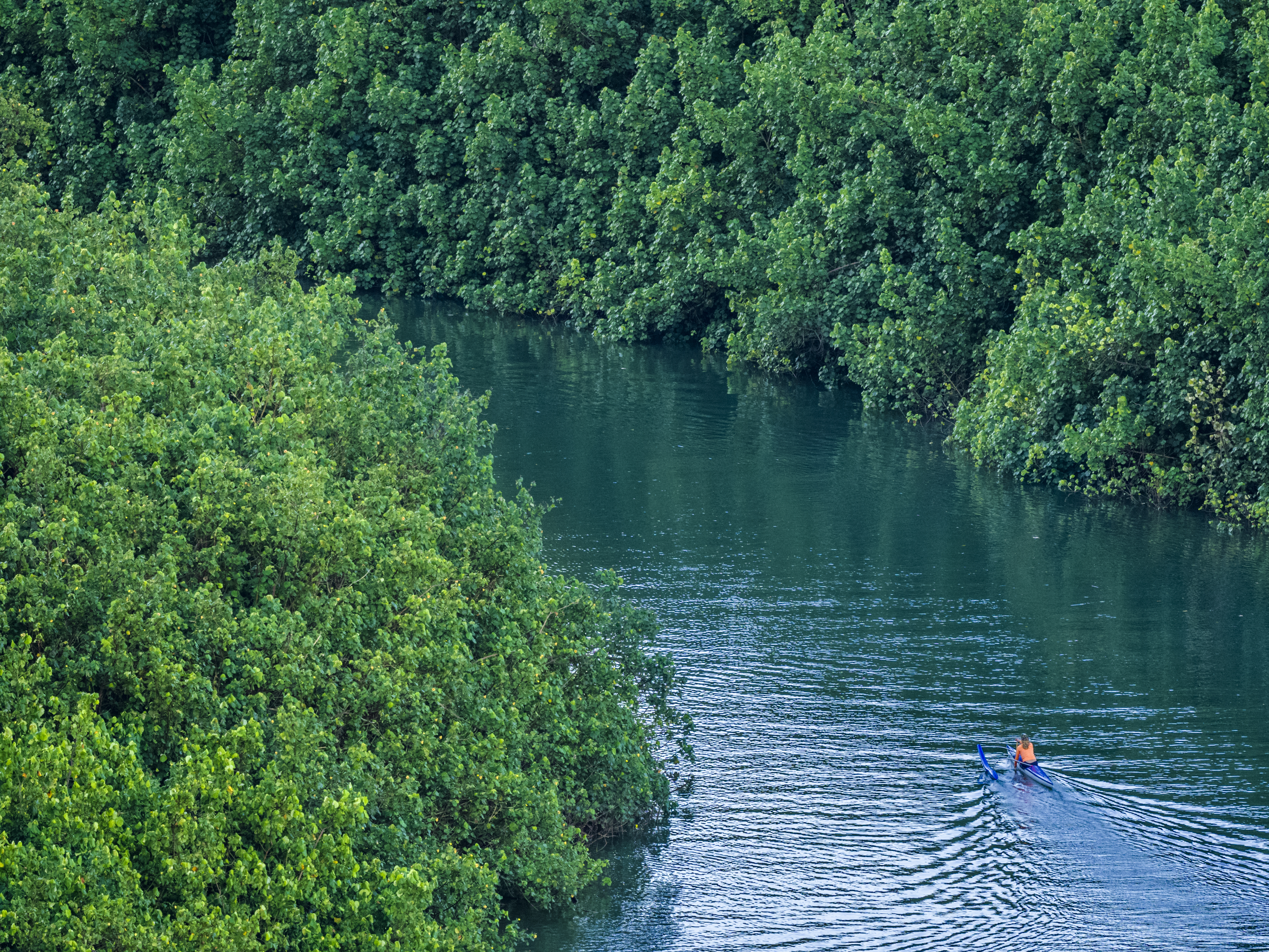 Kayak on Wailua River on Kauai
