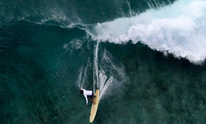 Wingnut - Surfers In Residence - Outrigger Waikiki Beach Resort
