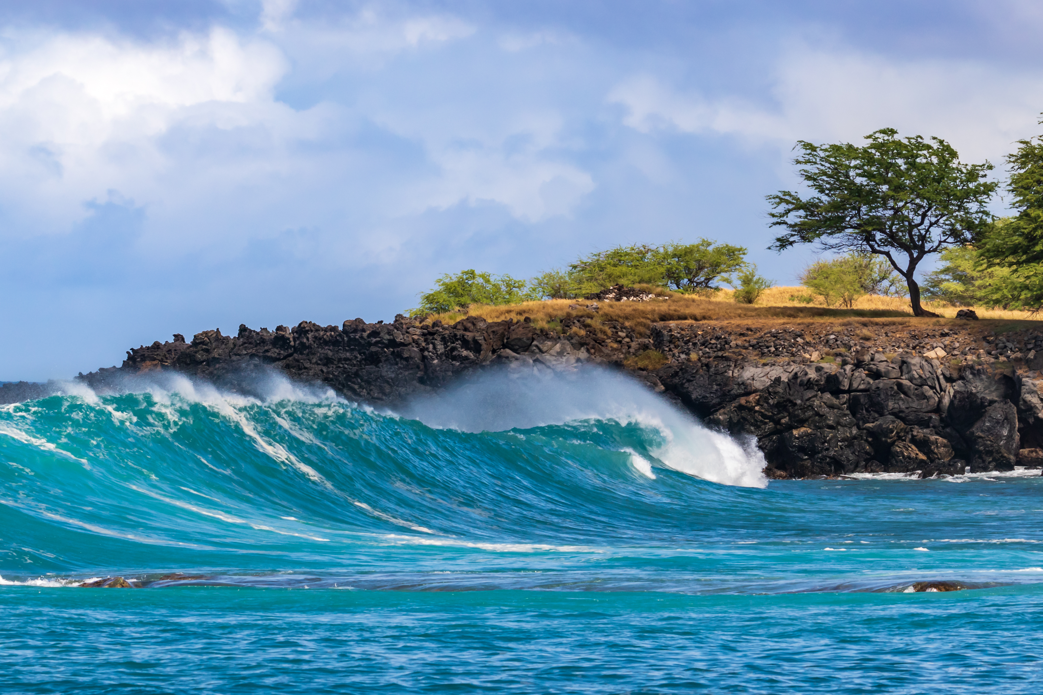 Surfing in Kona