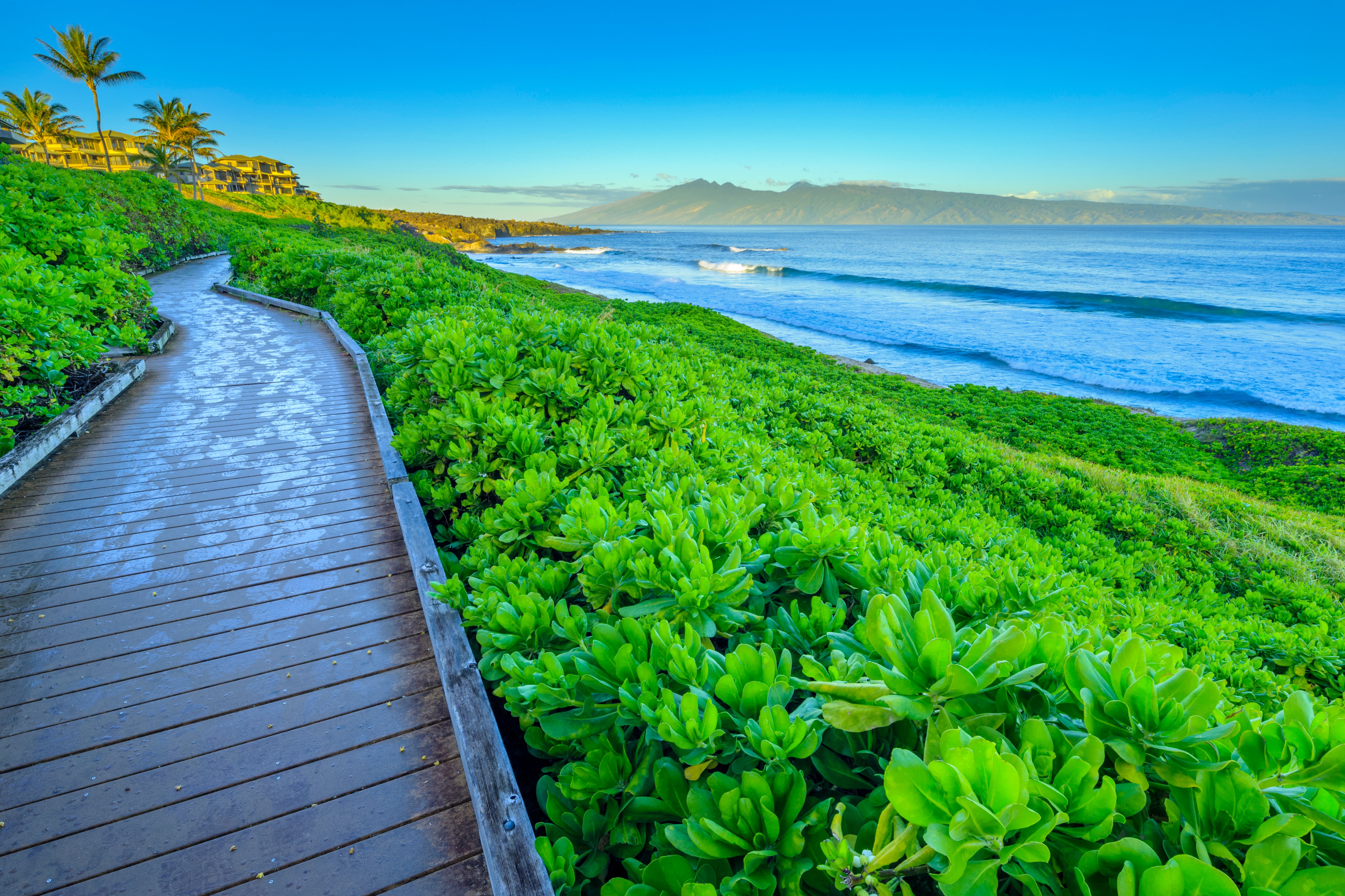 Kapalua Coastal Trail