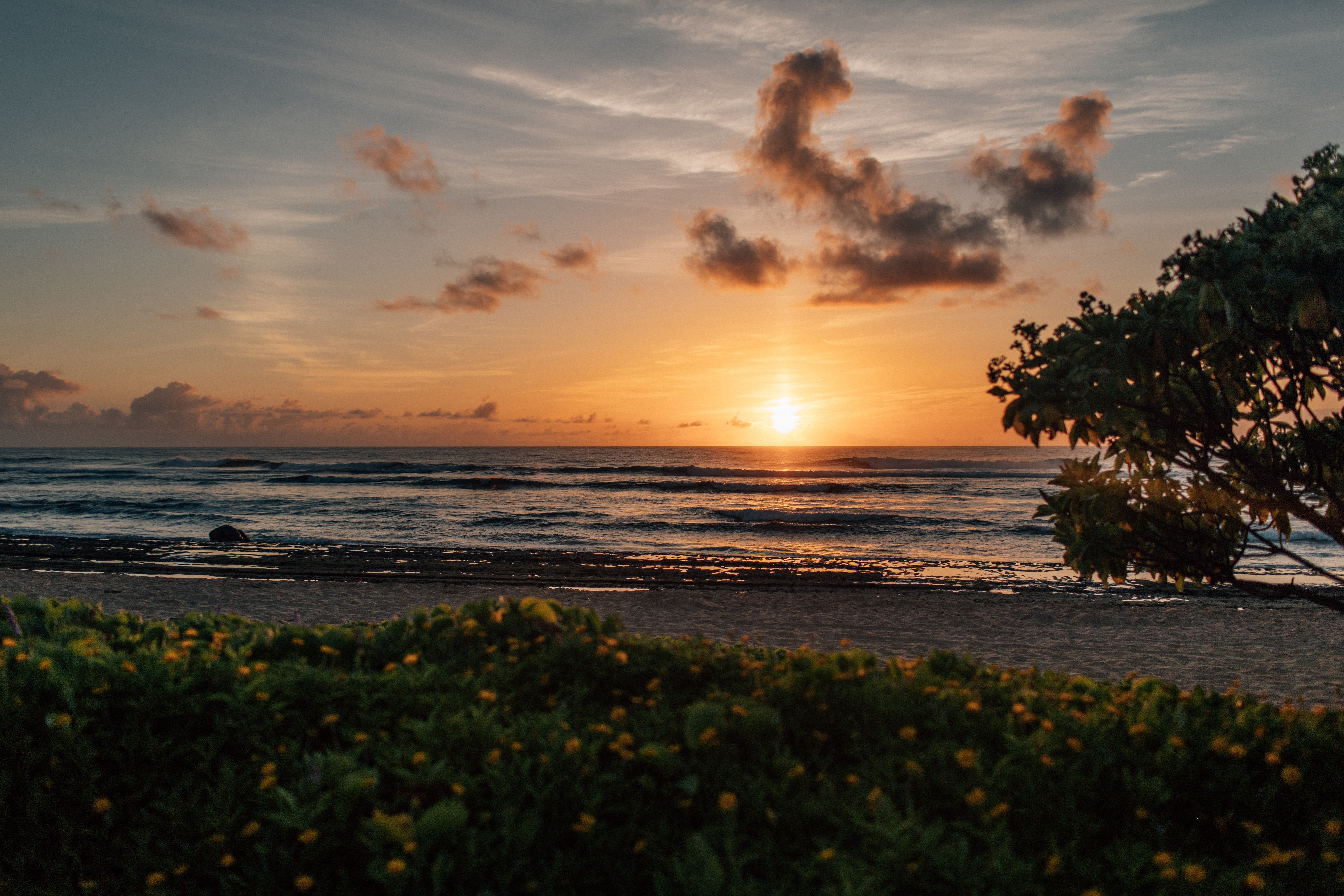 Kauai Beach Sunrise