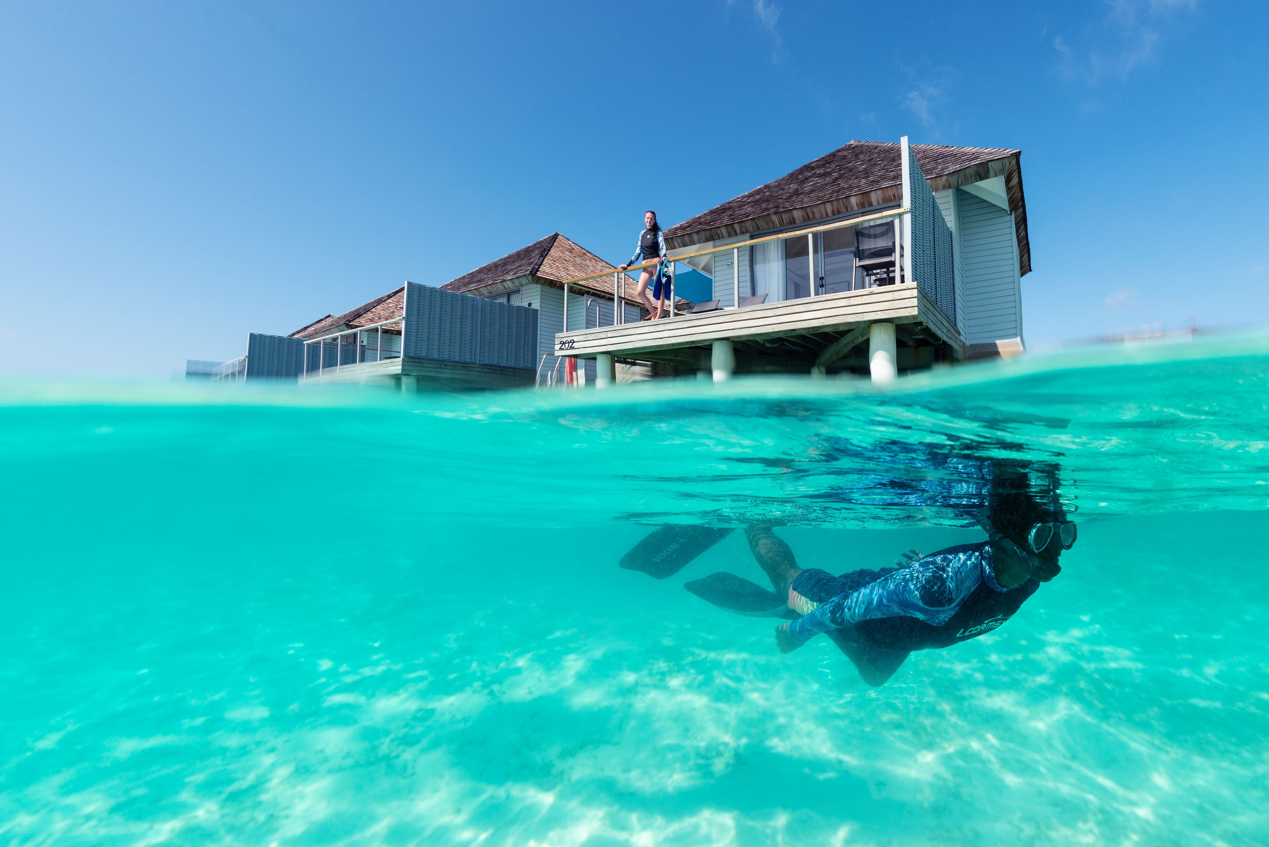 Snorkeling in the Maldives