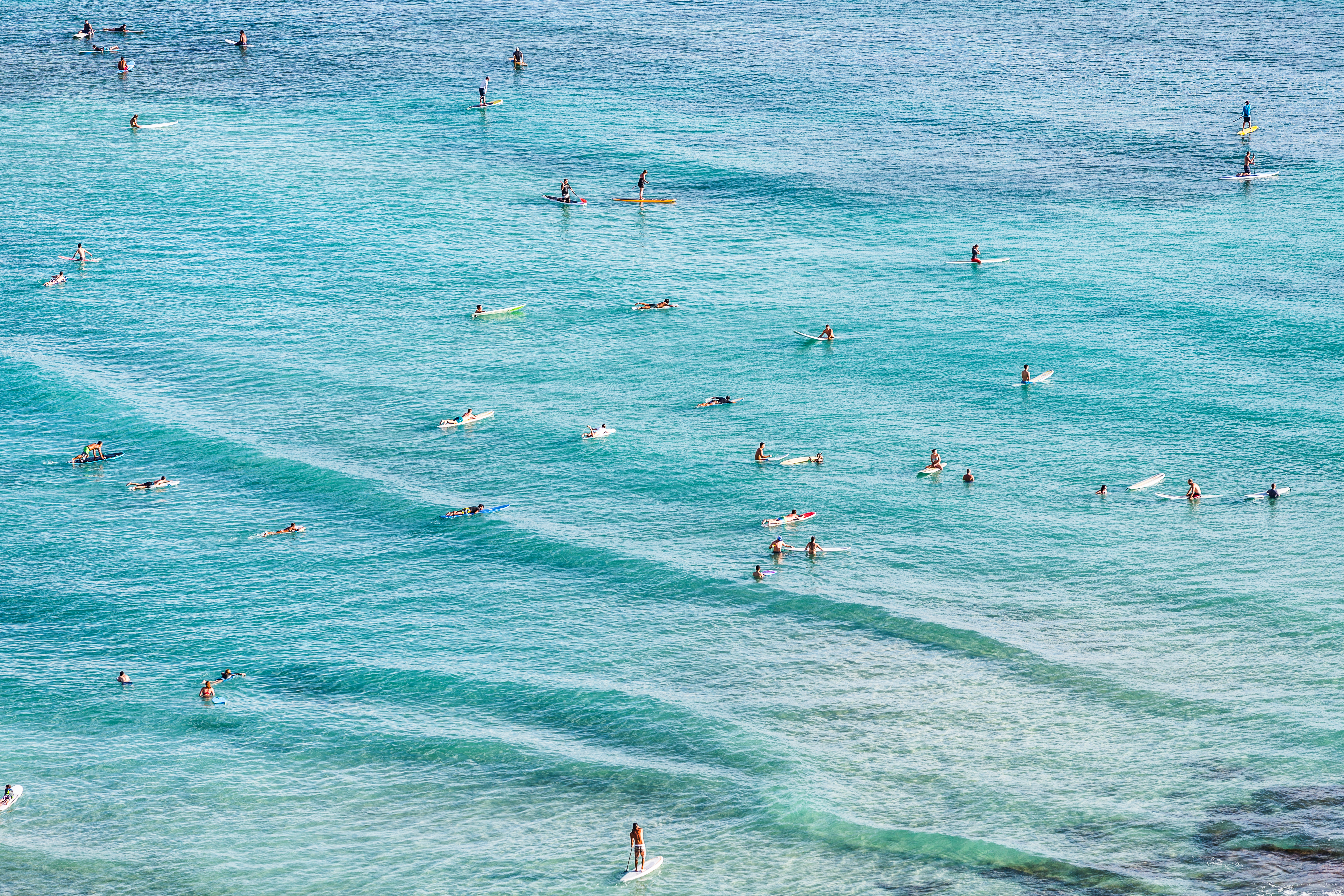 Surfing in Waikiki 